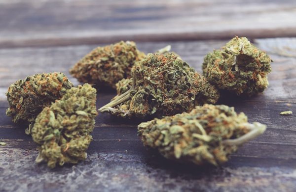 Comment reconnaître du CBD de bonne qualité ?