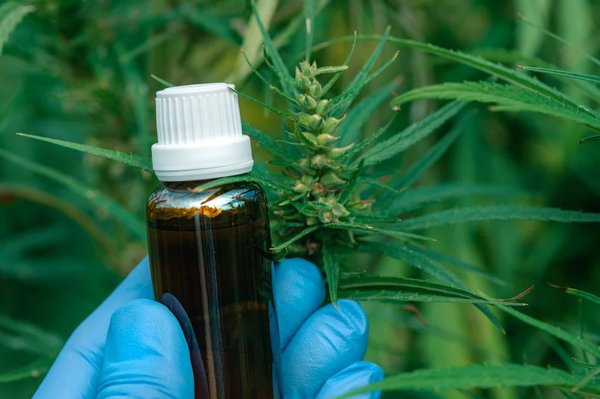 Quelles astuces utiliser pour trouver un bon fournisseur de CBD ?