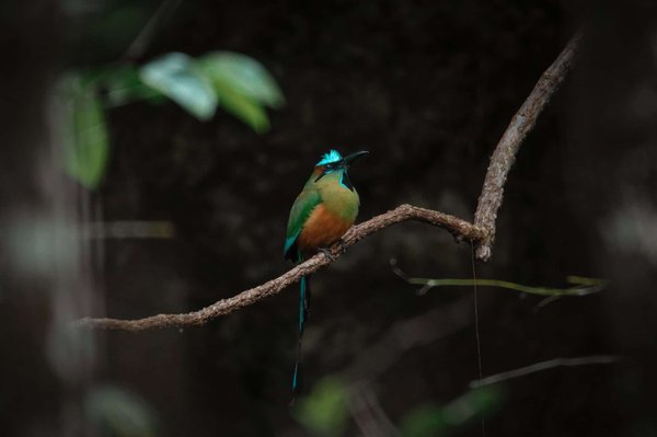 comment perdre du poids sans exercice intense